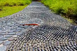 Reflexology Track
