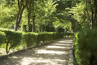 Walking Path